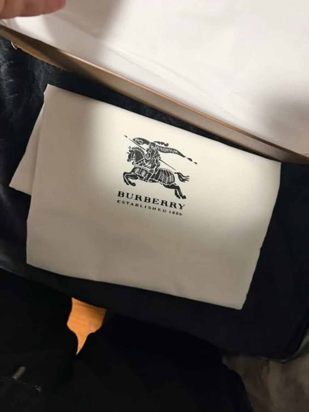 Burberry Black and White Branded Dust Bag - Picture 3 of 7